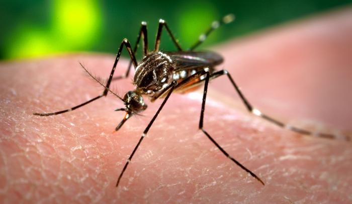 Saúde de Três Lagoas registra 34 casos suspeitos de dengue nesta semana
