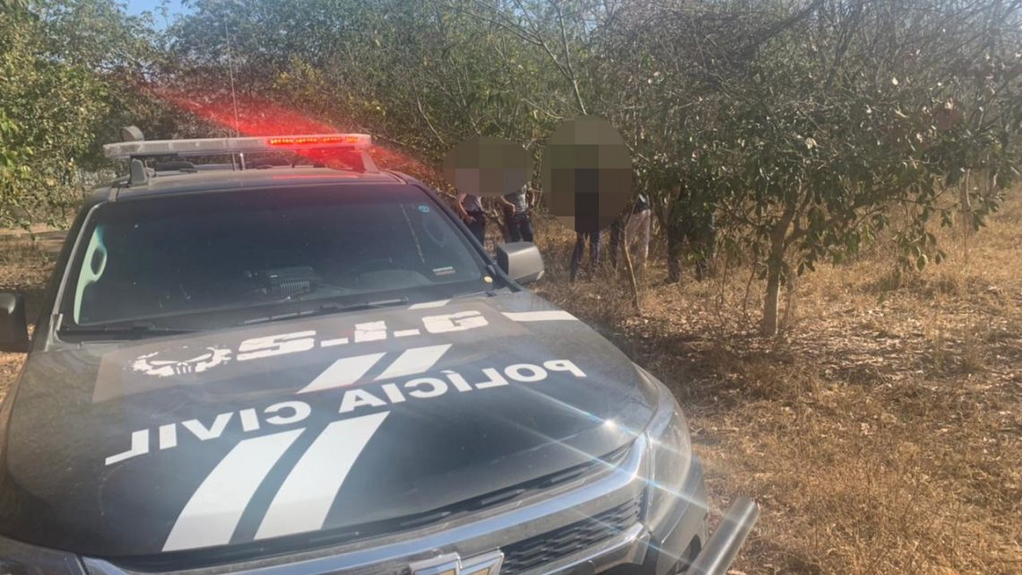 SIG e Deleagro realizam ‘Operação Polícia Civil no Campo’ e esclarecem furto na área rural de Três Lagoas