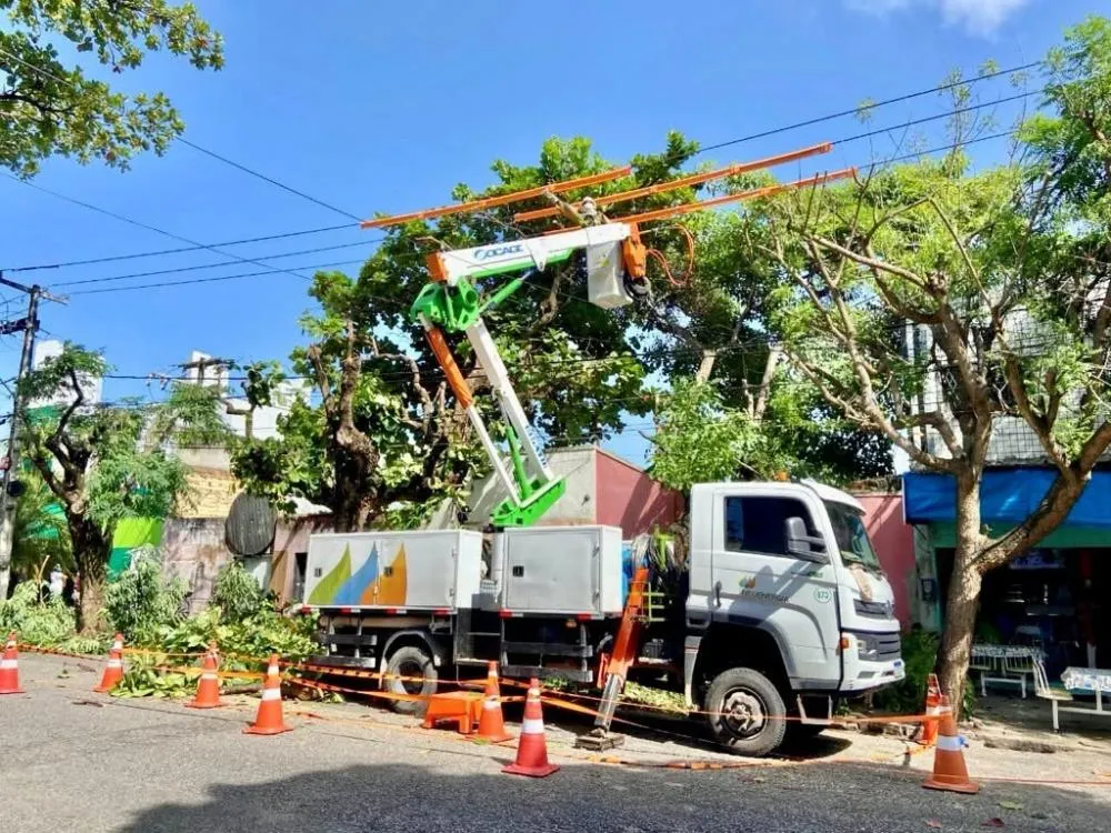 Podas e manutenções preventivas reforçam segurança da rede elétrica de Três Lagoas e cidades vizinhas