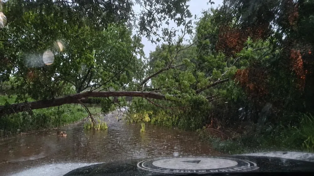 Duas horas de temporal castigam Três Lagoas, alagam ruas segurança e derrubam árvore Interlagos