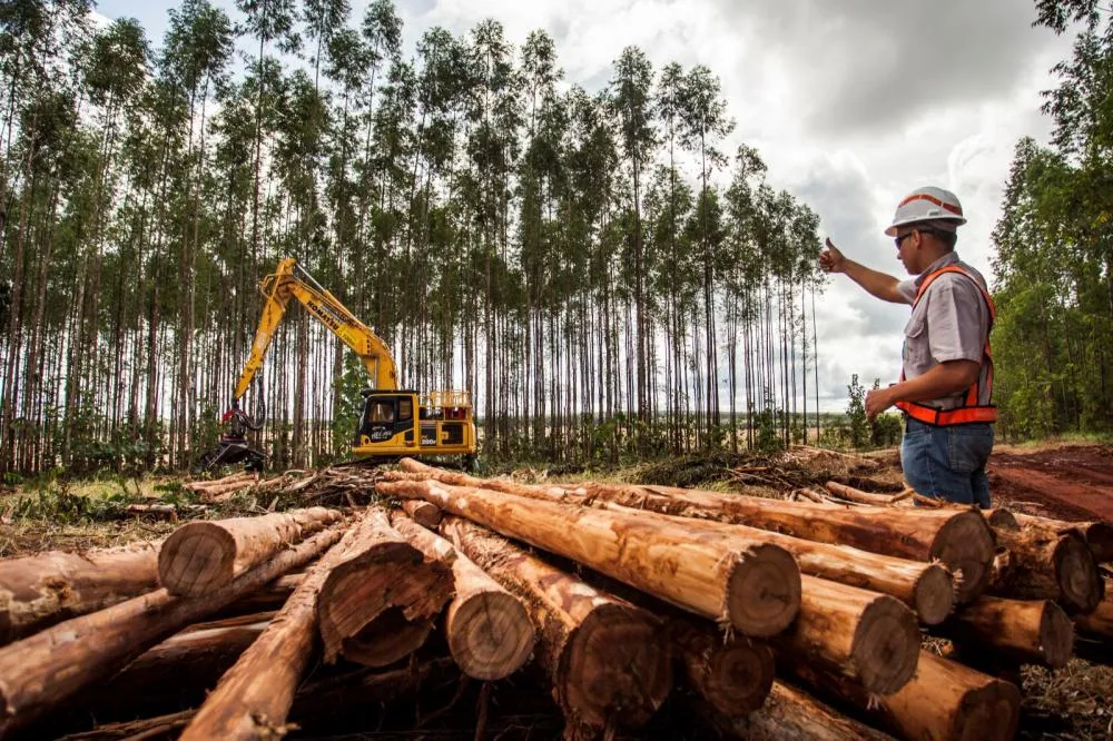 Suzano está com nove processos seletivos abertos para Ribas do Rio Pardo e Três Lagoas