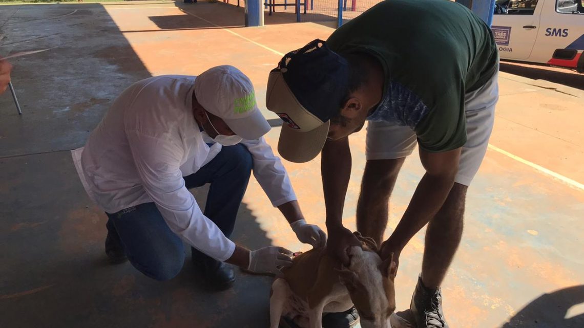 Em dois dias de vacinação, equipes do CCZ vacinaram 1.686 cães e 415 gatos