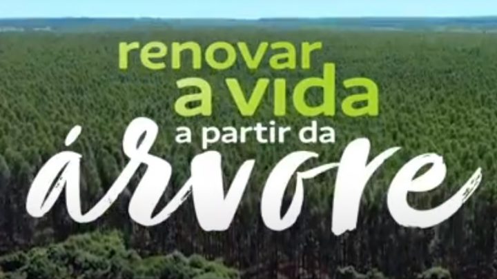 Suzano revela novo Propósito organizacional e reforça conexão com a sustentabilidade e o futuro