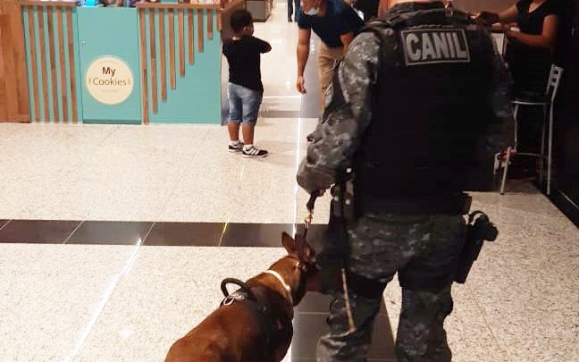 Polícia Militar atua com cães farejadores no policiamento preventivo alusivo a Operações Boas Festas em Três Lagoas