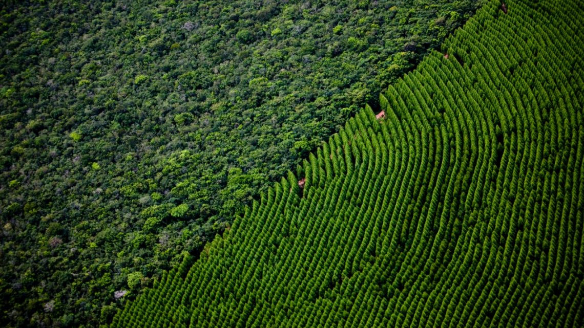 Suzano está com seleção para Técnico(a) de Logística Florestal I em Três Lagoas