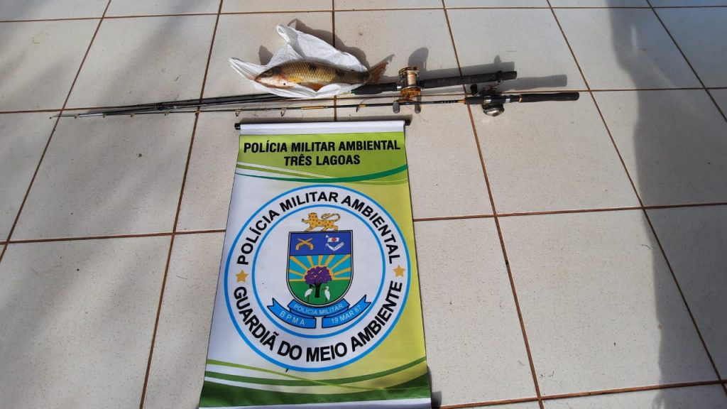 PMA de Três Lagoas autua pescador por pescar durante a piracema e outro por pescar sem licença e apreende pescado e material de pesca