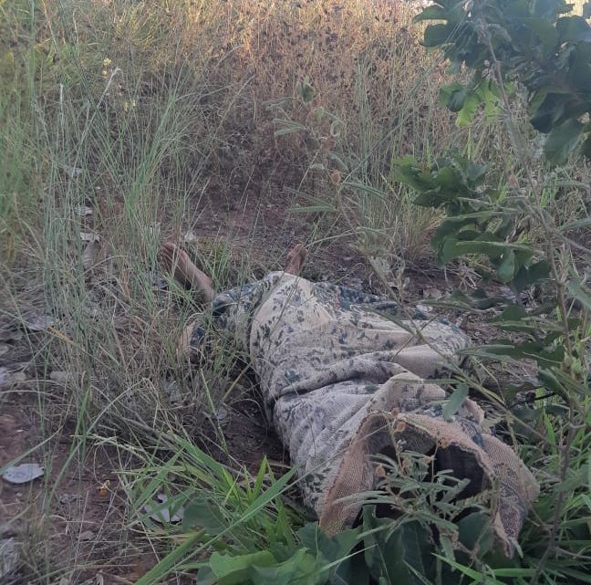 Corpo amarrado com fios e enrolado em tapete é encontrado ‘desovado’ na BR-262 em Três Lagoas