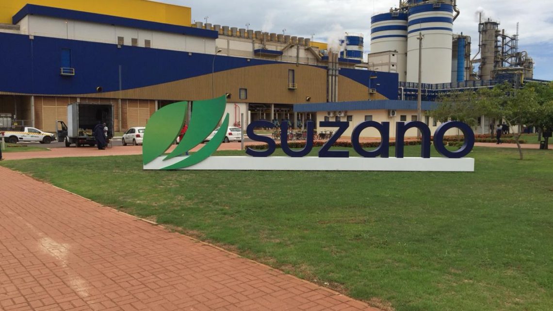 Suzano abre inscrições para o Programa de Estágio 2022