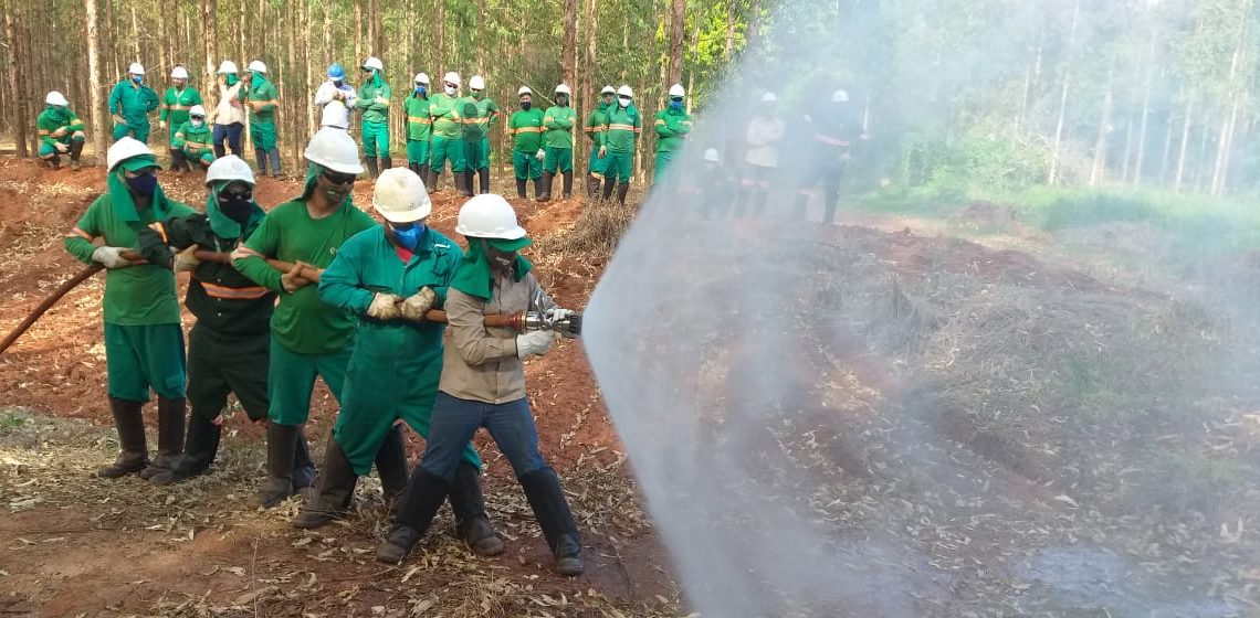 Eldorado Brasil aposta na tecnologia e comunicação para prevenir incêndios florestais