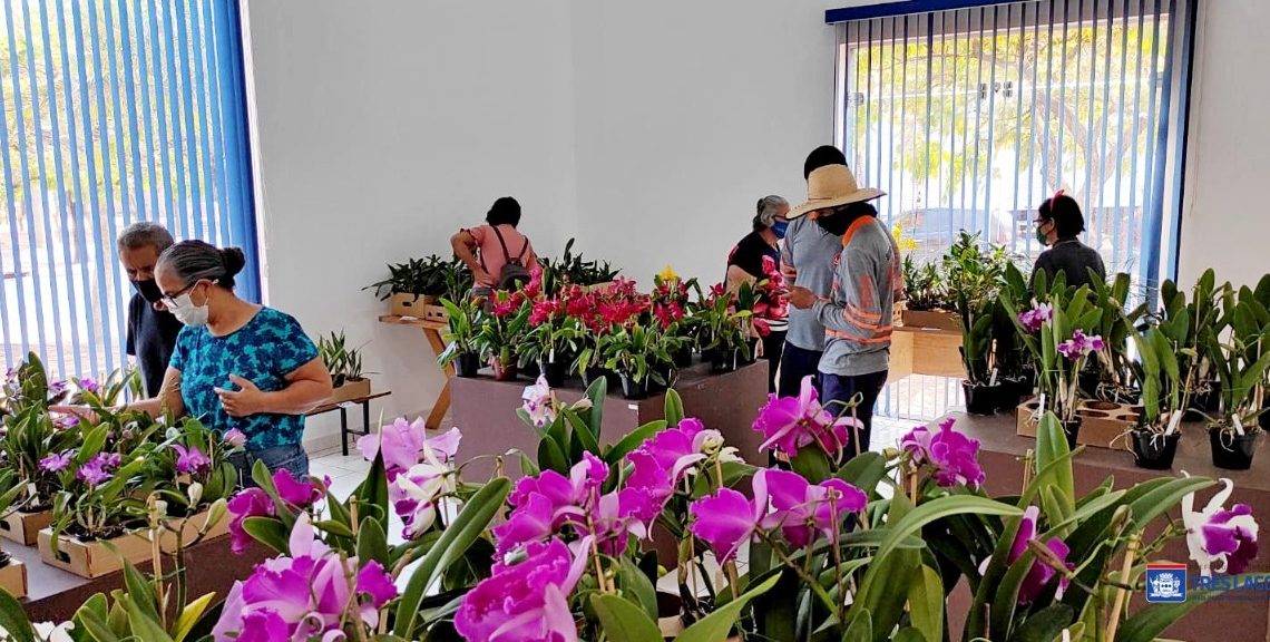 Orquidário Santa Ana realiza feira de orquídeas em Três Lagoas