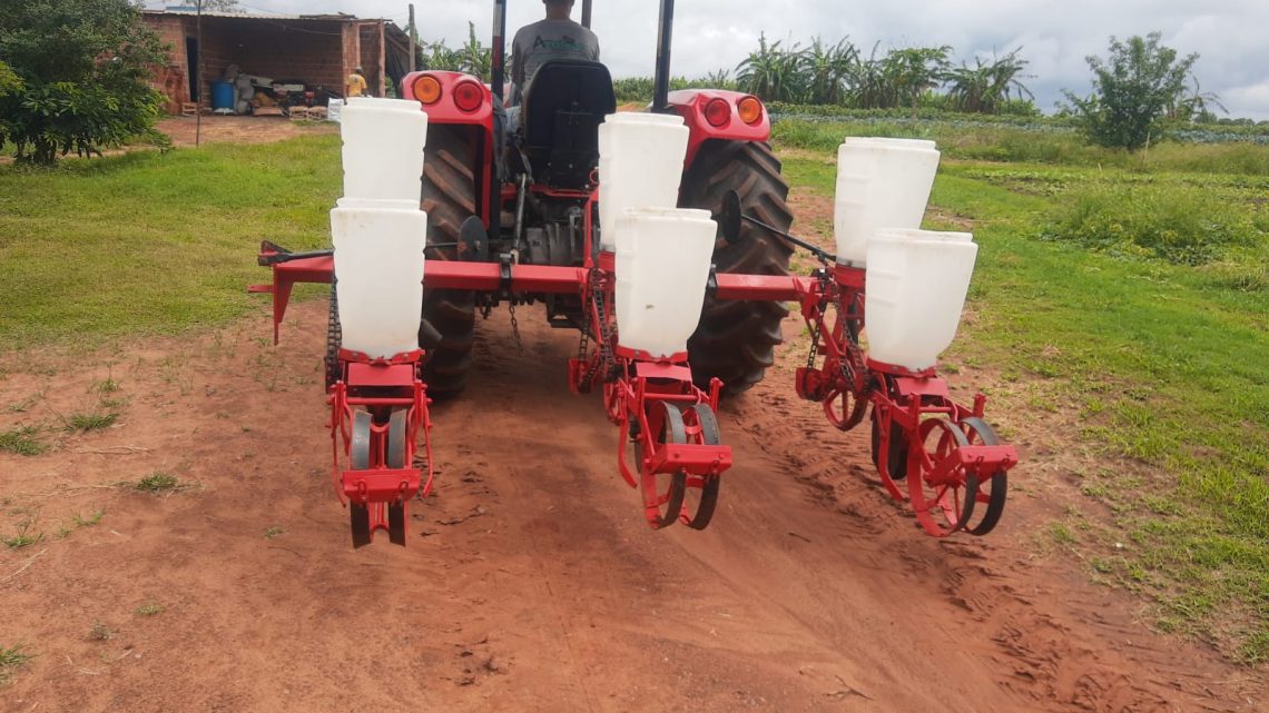 Com o apoio da Suzano, agricultores familiares iniciam o cultivo do milho verde em Três Lagoas