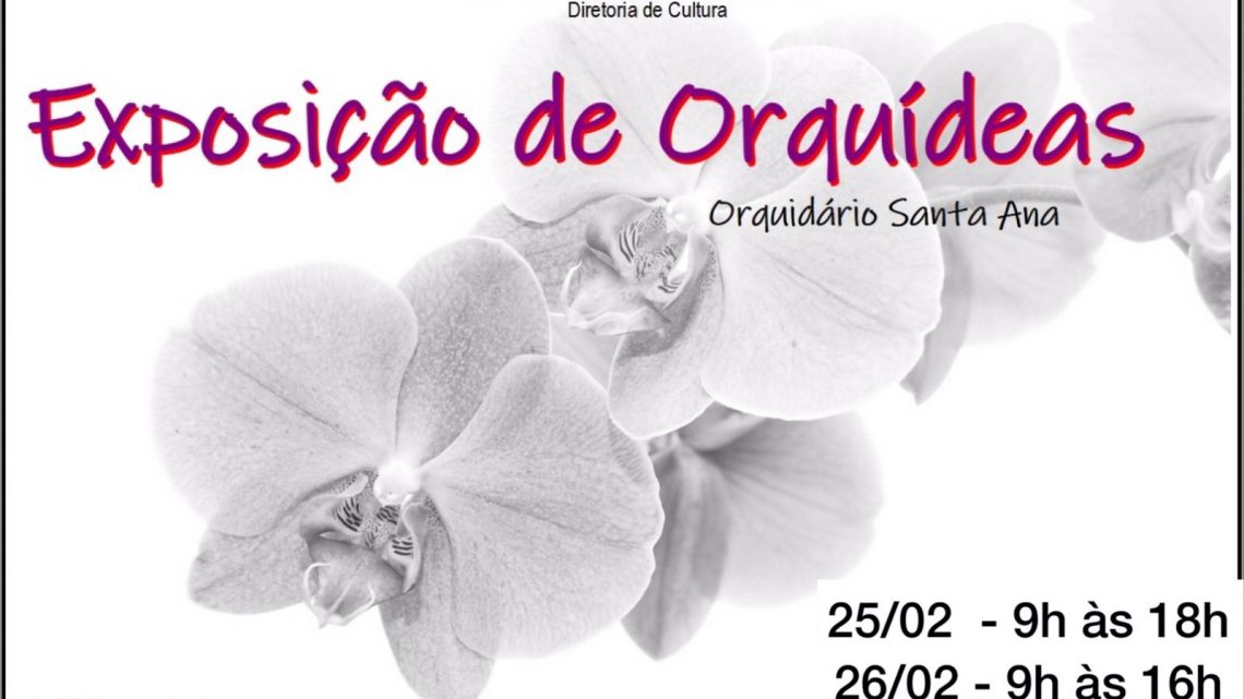 Diretoria de Cultura promove nesta sexta-feira e sábado (25 e 26) Exposição de Orquídeas na Casa do Artesão em Três Lagoas