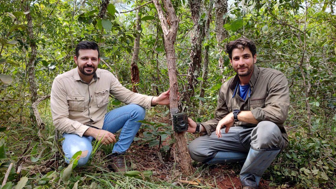 Meio Ambiente e Instituto ICAS divulgam os primeiros resultados do monitoramento de fauna no Parque do Pombo