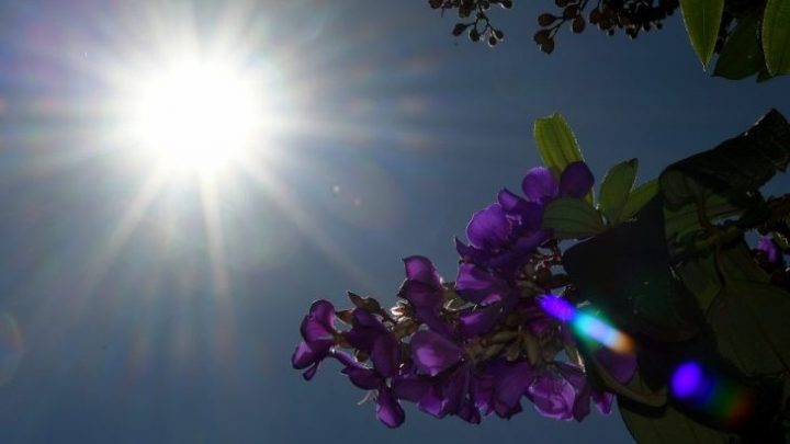 Segunda tem previsão de tempo firme, com sol e máxima de até 30°C no Estado