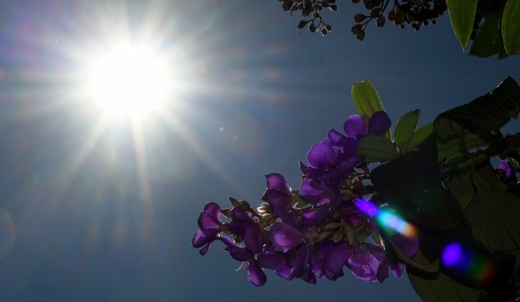 Segunda tem previsão de tempo firme, com sol e máxima de até 30°C no Estado