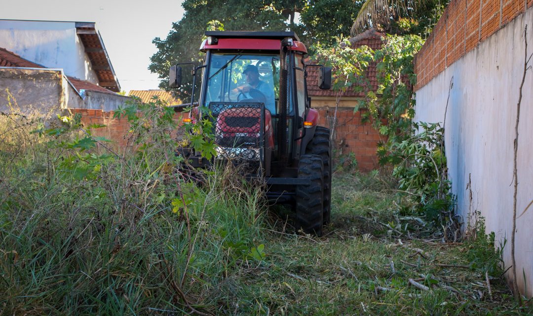 Prefeitura inicia limpeza de terrenos sujos em Três Lagoas