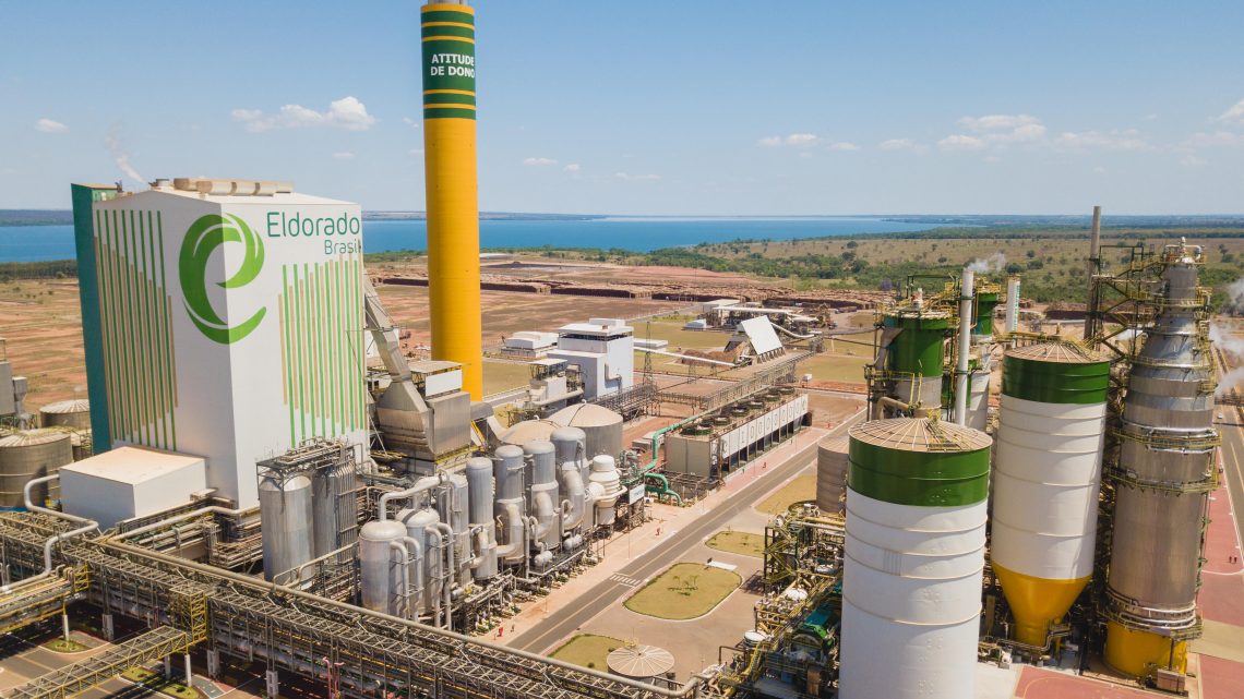 Setor de base florestal impulsiona contratações no 1º semestre em Mato Grosso do Sul