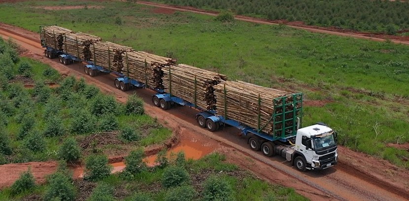 Suzano abre vagas de condutora de veículo florestal exclusivas para mulheres em Brasilândia e Três Lagoas