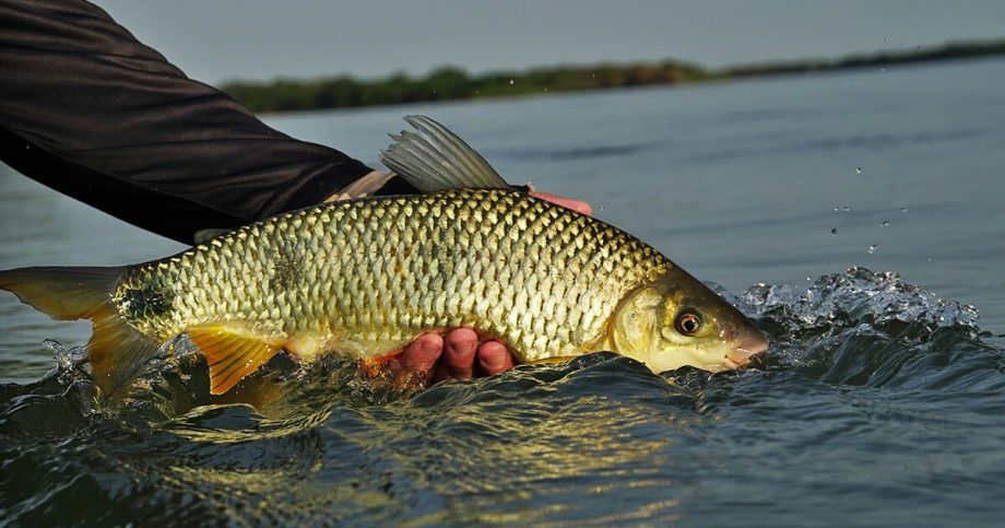 Três Lagoas receberá curso gratuito de Formação de Condutores de Pesca Esportiva. Veja como participar