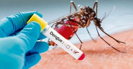 BOLETIM – TL notifica 10 novos casos de dengue na 41ª semana de 2022