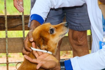 Prefeitura de Três Lagoas inicia 2ª fase do Encoleira Cão