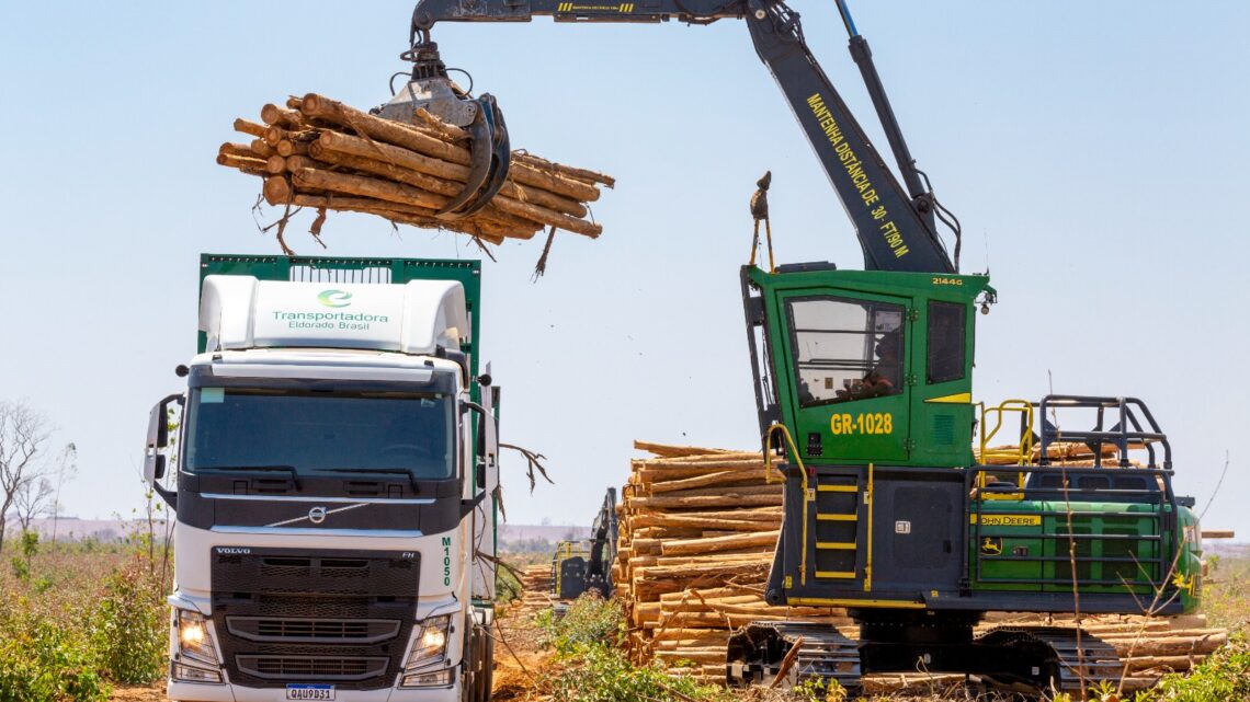 Eldorado Brasil é destaque na geração de emprego em Mato Grosso do Sul