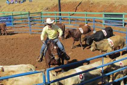 3ª Etapa do Campeonato de Ranch Sorting agita Três Lagoas nesta sexta e sábado (10 e 11)