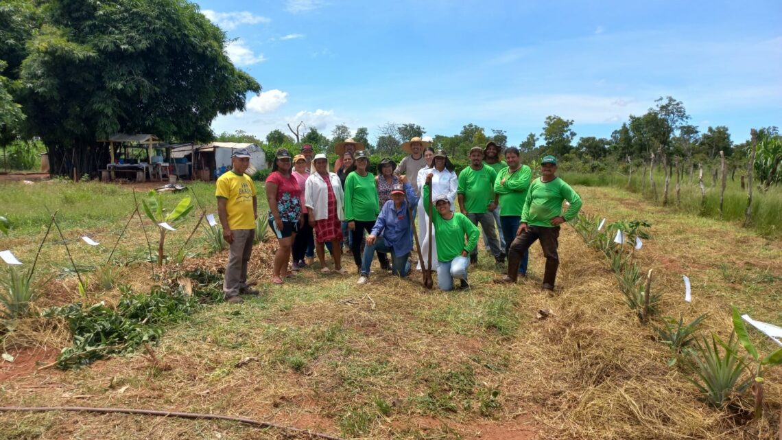 Com apoio da Suzano, 87 famílias de Ribas do Rio Pardo (MS) implementam Sistema Agrofloresta