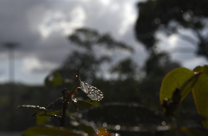 Quinta-feira terá pancadas de chuvas isoladas em Mato Grosso do Sul