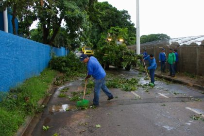 Prefeitura realiza força tarefa após forte chuva derrubar quase 50 árvores em um dia em Três Lagoas