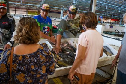 Inscrições para 8ª Feira do Peixe encerram nesta terça-feira (04). Comercialização será no dia 06 até às 19h em Três Lagoas