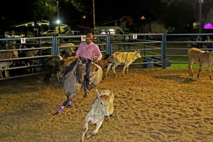 Nesta sexta-feira (19) e sábado (20) tem a 3ª etapa do Campeonato de Ranch Sorting NRT/MS em Três Lagoas