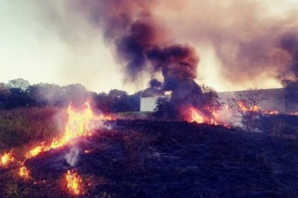 Defesa Civil e Bombeiros atendem mais um incêndio próximo à área de preservação em TL