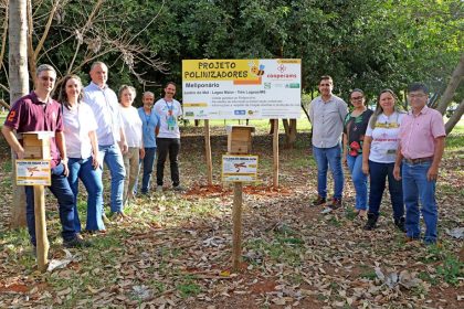 Três Lagoas ganha projeto de polinização com abelhas sem ferrão; entenda como funciona