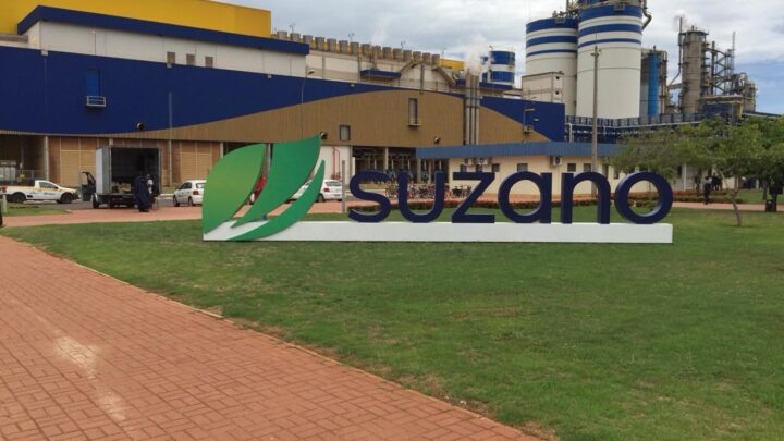 Suzano está com cinco vagas abertas para Brasilândia e Três Lagoas