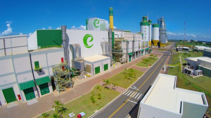 Eldorado Brasil registra lucro líquido de R$ 444 milhões no último trimestre