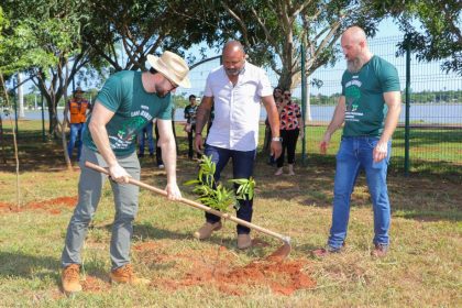 Prefeitura de Três Lagoas já plantou quase 400 árvores em 2024