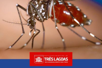 BOLETIM DENGUE E LEISHMANIOSE – 18 de fevereiro de 2025