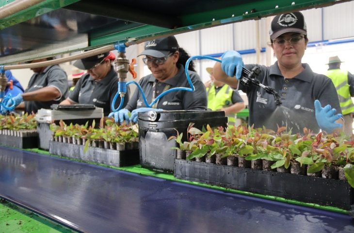 Neste Dia da Mulher, Governo de MS anuncia novas oportunidades de capacitação profissional